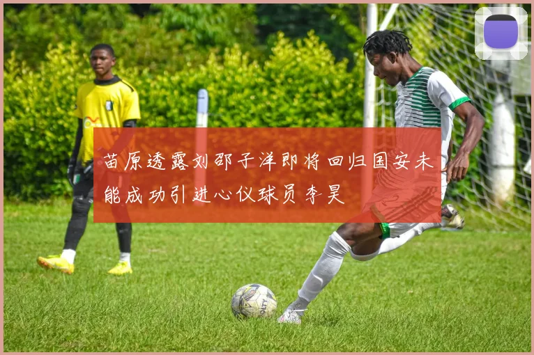 苗原透露刘邵子洋即将回归国安未能成功引进心仪球员李昊