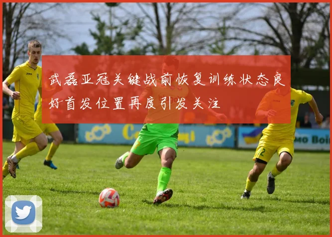 武磊亚冠关键战前恢复训练状态良好首发位置再度引发关注