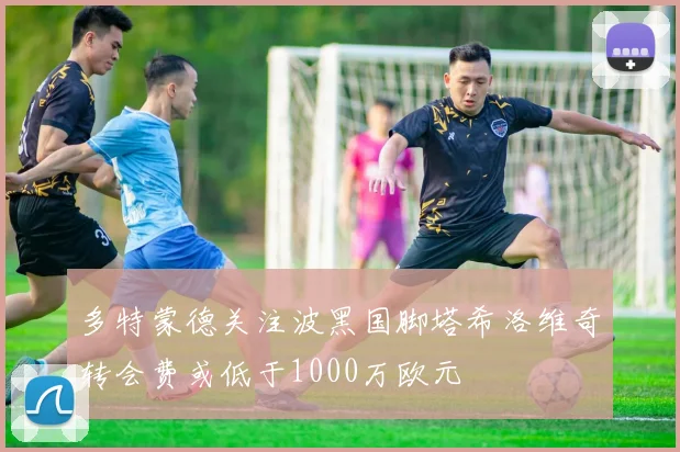 多特蒙德关注波黑国脚塔希洛维奇转会费或低于1000万欧元
